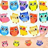 German Trendseller® - Eulen Tattoos Set ┃ NEU ┃ Eulen Party ┃ Kindergeburtstag ┃ Mitgebsel ┃36 Tattoos