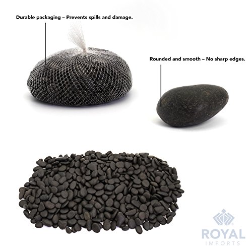Royal Imports 5LBS River Rocks Decorative Ornamental Pebbles, Garden Landscaping Stones, Natural Gravel Filler for Plants, Vases, Succulents, Home Decor, Arts, Crafting, Animal Habitat - Medium Black - Image 5
