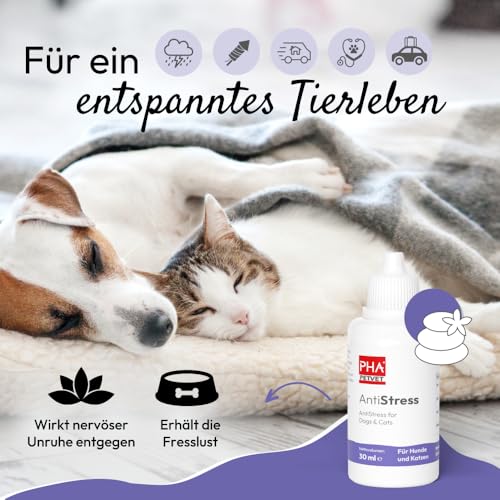 PHA Antistress Tropfen, Natürliches Beruhigungsmittel für Hunde & Katzen, für Silvester, Autofahrten, Tierarzt & Alleinsein, zur Beruhigung, Entspannungs- & Anti-Stress-Mittel für Hunde & Katzen