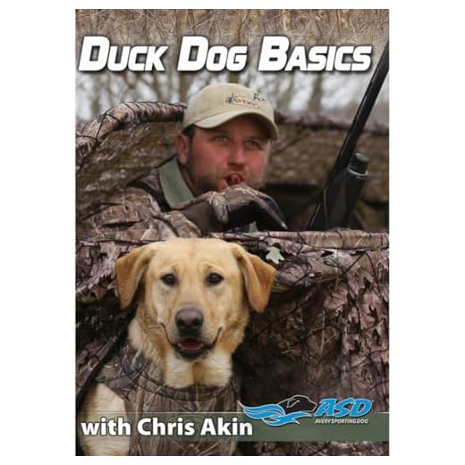 Avery DVD-Duck Dog Basics