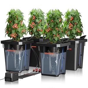 SPIDER FARMER DWC Système de ...