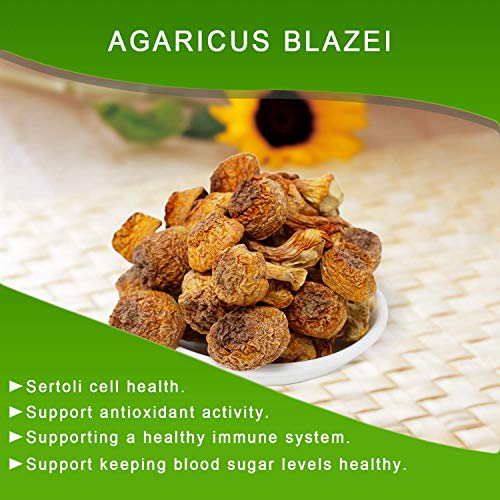 Dol Natural Wild Dried Almond Mushroom Agaricus Blazei 姬松茸 Food Additives Free - In Bag (8 Ounce) #TOP5