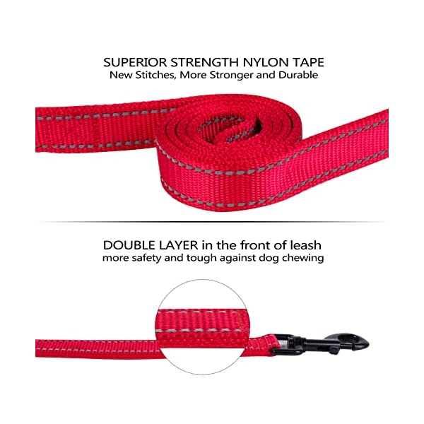 THHPET Dog Leash for Medium to Large Dogs with Two Padded Handles 5FT/6FT, Double Handle Dog Leash, Reflective Training Lead, Durable Traffic Leashes THHPET Dog Leash for Medium to Large Dogs with Two Padded Handles 5FT/6FT, Double Handle Dog Leash, Reflective Training Lead, Durable Traffic Leashes