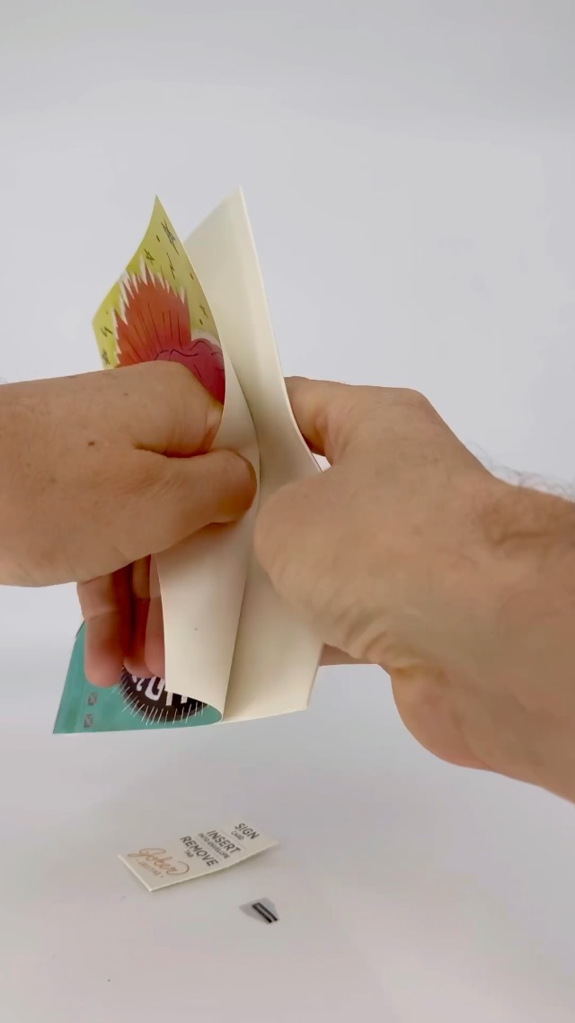 Amazon.com : Endless Happy Birthday Prank Card: Nonstop Punk Rock