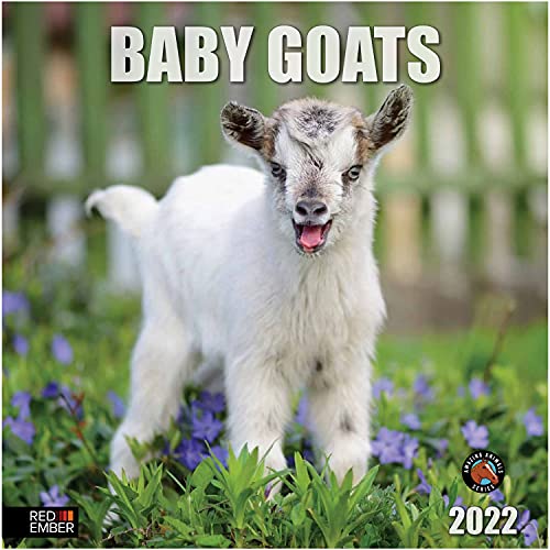 RED EMBER Baby Goats 2022 Hangable Wall Calendar - 12  x 24  Opened - Thick & Sturdy Paper - Giftable - Is this the Cutest Calendar Ever?
