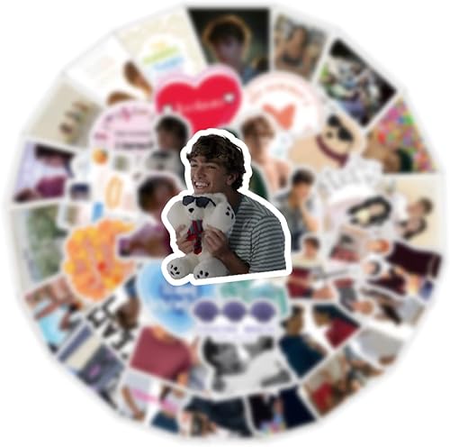 Miniatura 3 de 60 calcomanías de vinilo impermeables con diseño de The Summer I Turned Pretty Classic TV para adultos para fiestas de cumpleaños, regalos de