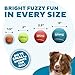 Outward Hound Squeaker Ballz – Squeaky Tiny Tennis Balls for Small Dogs Under 15 lbs, Fetch & Training, X-Small (1.5