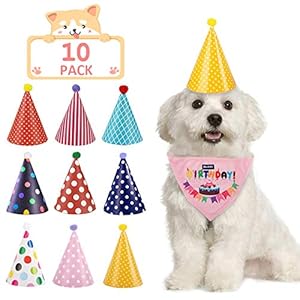TOGETOP Hundehüte für Haustiere, Geburtstag, Halstuch-Set, Schal, wiederverwendbar, Partyzubehör, Kopfband, Katze, Welpen, Hüte, erstaunliche Pflege-Accessoires,10 Stück