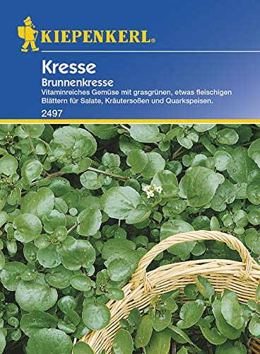 Kiepenkerl 2497 Kresse Brunnenkresse (Kressesamen)