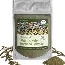 Organic Maine Coast Kelp Seaweed Powder 2oz by My Berry | Dark Green, Fresh Kelp Only | Ascophyllum Nodosum | US Atlantic Ocean Grown
