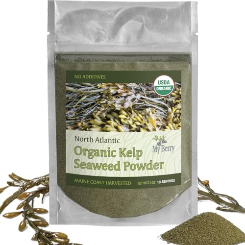 Organic Maine Coast Kelp Seaweed Powder 2oz by My Berry | Dark Green Fresh Kelp Only | (Ascophyllum Nodosum) | US Atlantic Ocean Grown