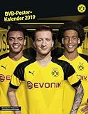 Borussia Dortmund Posterkalender - Kalender 2019