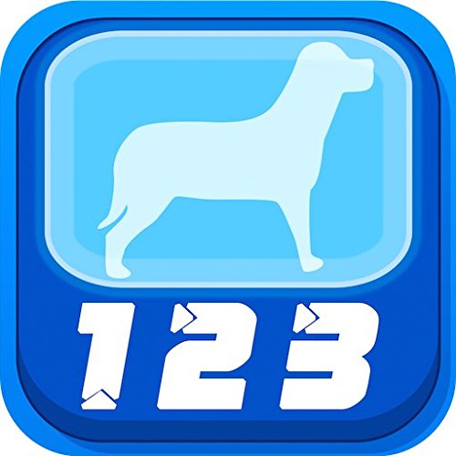 Animals And Letters [Download]