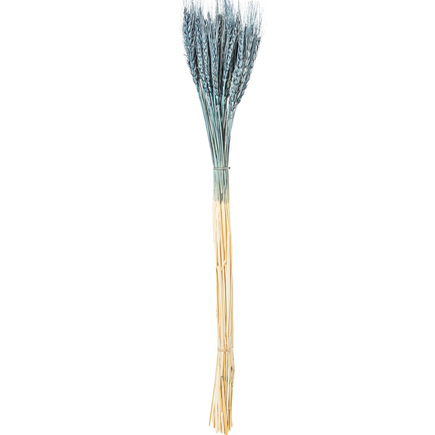 Bouquets de tiges de blé naturel bleu DRW 70 cm pour décoration intérieure