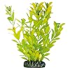 ICA AP1021 Hygrophila Polysperma di Aquatic Plants Plastica
