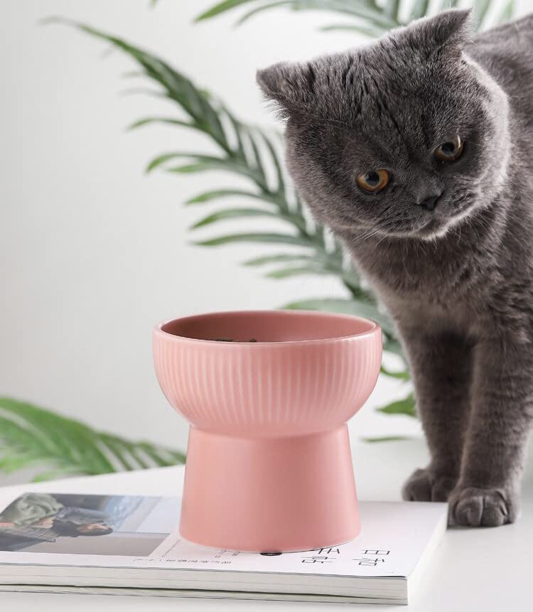 Image of PETANGEL Ceramic Cat Food Or Water Bowl, Raised Cat Feeder Dishes with Stand, Elevated Pet Food Bowl for Cats and Small Dogs,Stress Free Backflow Prevention, Anti Vomiting & Reduce Neck Burden (Pink)