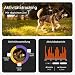 Weenect Hund XT - NEUES GPS-Halsband für Hunde | XL-Antenne | Wasserdicht | Hyperresistentes integriertes Julius-K9 Halsband Blau Abonnement erforderlich