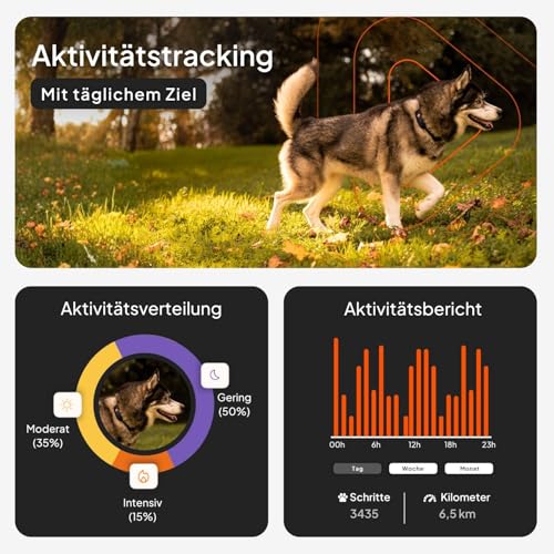 Weenect Hund XT - NEUES GPS-Halsband für Hunde | XL-Antenne | Wasserdicht | Hyperresistentes integriertes Julius-K9 Halsband Blau Abonnement erforderlich
