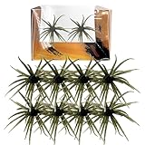 8pcs Sea Urchin Bait, Dice Baits for Bass Fishing, Floating TPR Swimbait with Reflective Stars, 6 Colors Artificial Worm Bait for Saltwater & Freshwater (A, 2.36')