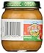 Earth's Best Organic Baby Food Jars Organic Peach Oatmeal and Banana, 4 Oz Jar