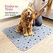 Super Absorbent Washable Pee Pads for Dogs - 2-Pack Superior Reusable Puppy Pads Pet Training Pads –100% Waterproof Dog Pee Pad Protects Against Urine Leakage Non-Slip Grip Prevents Slipping& Bunching