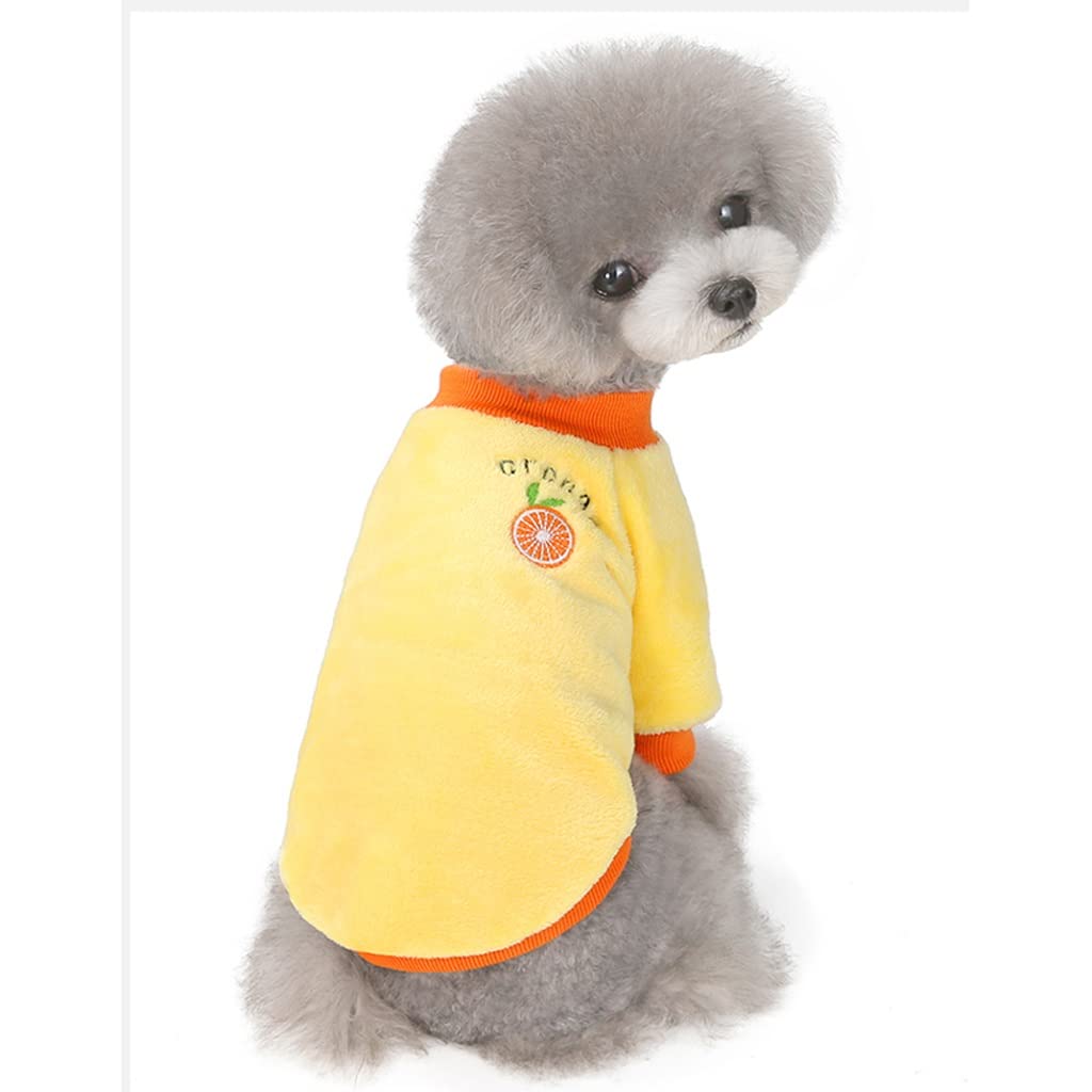 Vêtement d'hiver pour chien orange parfait pour les promenades sous la neige