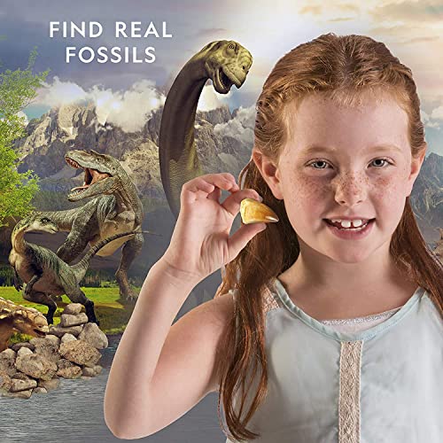 National Geographic Kit Fossiles - vue 7