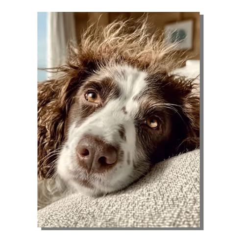 G  hG (t[t) l̎q̂߂̃Mtg ŃyCg SҌ LbgŃyCg fW^G  60 x 80 cm uVƃANG̋Ă܂ DIY Paint by Numbers rO[ Ce