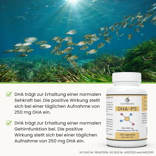 500 mg DHA Omega-3 (Triglyceride) + 100 mg Phosphatidylserin, ohne Soja – für Gehirnfunktion & Sehkraft – 120 Mini-Softgels – DHA-PS Nutribiolite