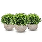 bonsai outdoor 🌲 SICHER UND HALTBAR - Kunstpflanzen und Erde bestehen aus ungiftigem und hochwertigem Material und Töpfe bestehen aus Papierzellstoff für eine sichere und dauerhafte Verwendung. Sie sind umweltfreundlich, sicher für Mensch und Tier und bleiben lange schön und frisch.