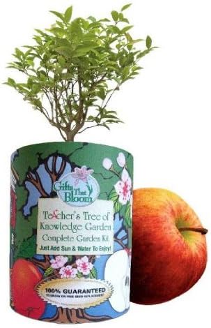 Teacher Gifts