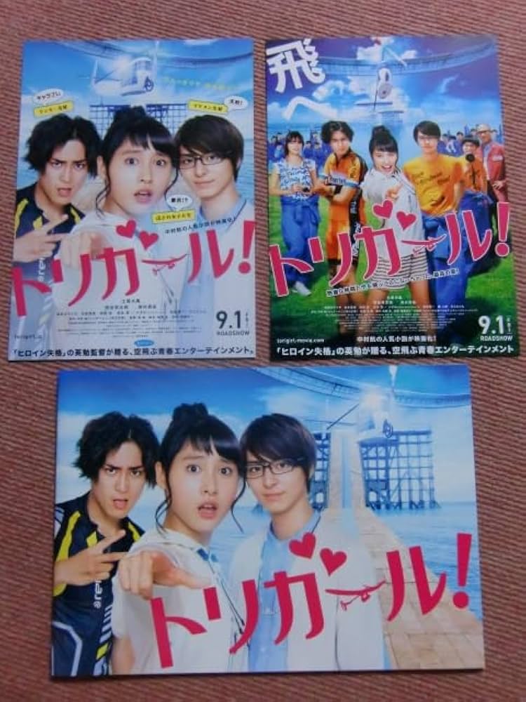 鳥人間コンテストパンフレット