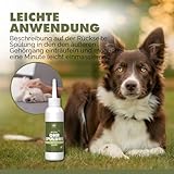 PAW WOW Natürliche Hund-Ohrenspülung 100ml | sanfte Tiefenreinigung & Geruchsschutz mit Lebermoos, Zistrose, Ringelblumen & Schwarzkümmel | 100% natürlich ohne künstliche Zusatzstoffe