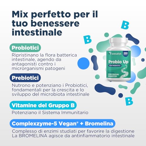 Fermenti Lattici Probiotici - 250 Capsule - PROBIO UP, Concentrato di 20 Ceppi Batterici per Adulti, Probiotico per Intestino, Lactobacilli, Bifidobatteri, Enzimi digestivi, Inulina, FOS, 20 Miliardi - 5