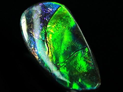 Amazon 天然石の島田商事 カナダ産 宝石ルース 裸石 アンモライト Ammolite 菊石 約1 8g 1個 ルースストーン 通販