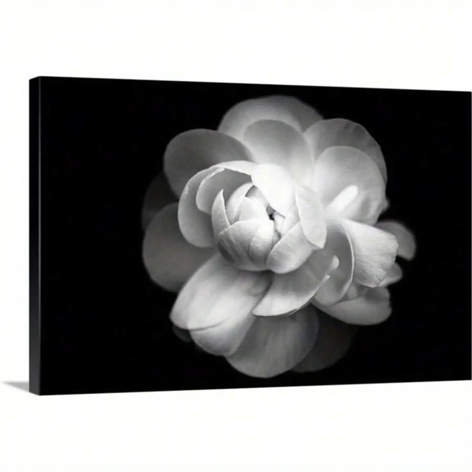 Toile fleur de camélia noir et blanc XINBAO cadre 21x30 cm pour salon - 8