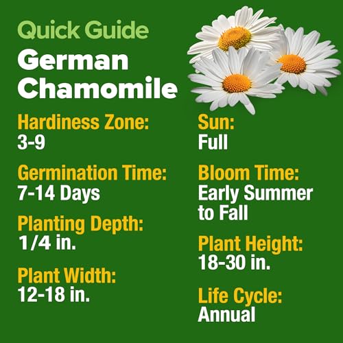 Image of HOME GROWN German Chamomile Seed Pack 2,280 Non GMO Heirloom Seeds for Planting for Sustainable Gardens and Soothing Medicinal Herbal Teas (Matricaria chamomilla)