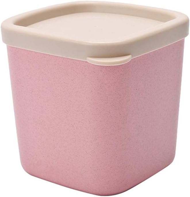 scatola di spezie per cucina masala dabba