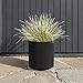 Veradek Demi Series Round Planter for Porch, Patio, Backyard | Durable Plastic-Concrete Material | Modern Décor for Tall Plants, Flowers