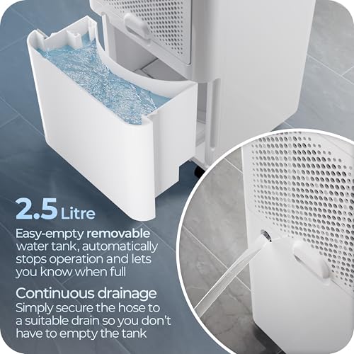 Avalla X-125 Deshumidificador Inteligente - Deshumificadores de Humedad - 12L/día Bajo Consumo, para Hogar y Oficina - Gas R290, Modo Secadora, Cobertura 120m³/h, Ajuste Humedad con Depósito 2,5L