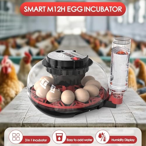 Incubateur pour éclosion des œufs, retourneur automatique d'œufs et nouveau système de contrôle automatique de l'humidité, vision claire à 360° pour poulet, canard et caille (noir)