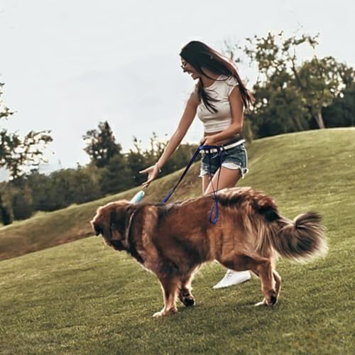 Mi Metty Hundeleine, 8ft Bungee Hundeleine mit 2 Gepolsterten Griffen, Starke Hundeleine,Leine Hund für Mittelgroße, Große Hunde (Schwarz-2pack, 8ft/2.5m)