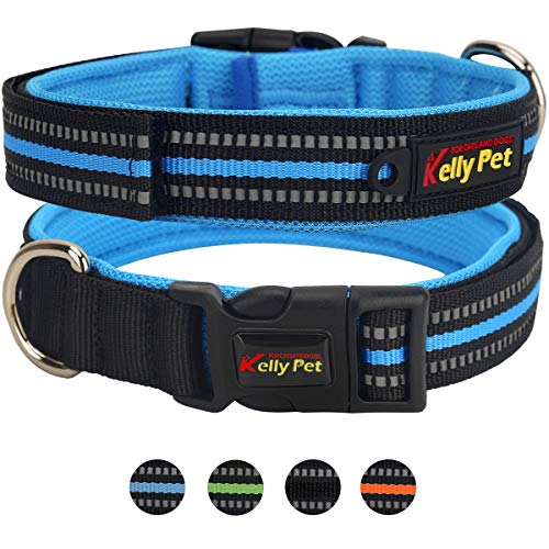 best reflective dog collar