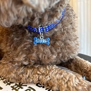 Rhinestone-Pet-Collar-Sparkling-3-Rows-Crystal-Diamond-Dog-Collars-Adjustable-Rhinestones-Wedding-Collar-Puppy-Girl-Bling-Necklace-Pendant-Jewelry-for-Small-Medium-Large-Pets-Cats-DogsA-BlueL - Cucciolini Doodles   Rhinestone-Pet-Collar-Sparkling-3-Rows-Crystal-Diamond-Dog-Collars-Adjustable-Rhinestones-Wedding-Collar-Puppy-Girl-Bling-Necklace-Pendant-Jewelry-for-Small-Medium-Large-Pets-Cats-DogsA-BlueL