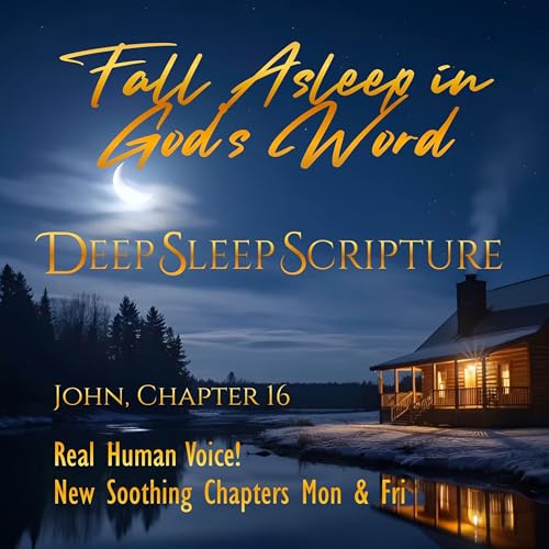 John, Chapter 16 &ndash; 30 min. Deep Sleep Scripture Sleep Bible Chapters