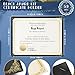 Kosiz 150 pcs Certificate Kit Includes 50 Gold Foil Certificates 50 Single Sided Holders 8.5'' x 11