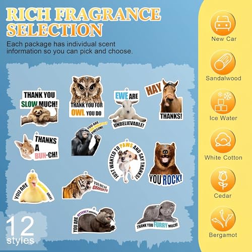 Image of Siifert 12 Pcs Teacher Appreciation Gifts Bulk Funny Car Air Freshener Thank You Hanging Decor Inspirational Team Gift for Nurse Employee Staffs Coworkers
