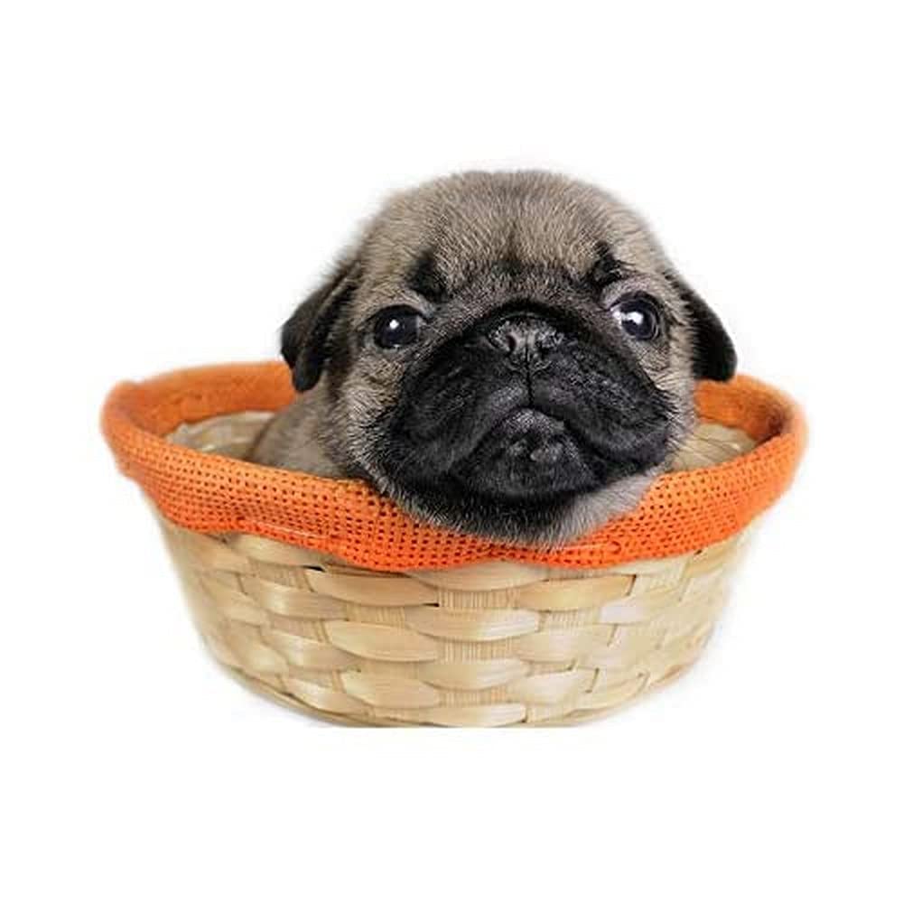 Artery8 Puppy Dog Basket Cute Photo Unframed Wall Art Print Poster Home Decor Premium