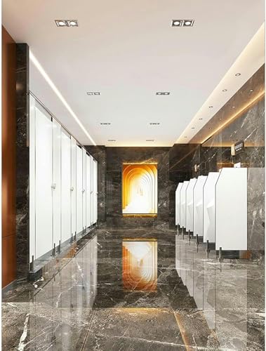 Partition urinaire en acier inoxydable avec accessoires complets pour toilettes