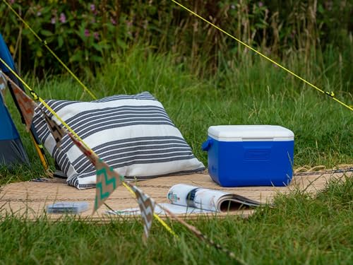 Foto von Coleman Kühlbox Fliplid 5, blau/weiß, 3000001275